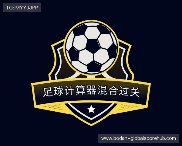 发现反波胆跑路
